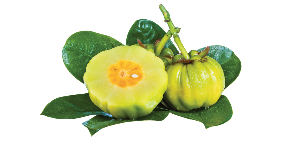 Easey Series | Colon Cleanse At Home Garcinia Cambogia Fruit