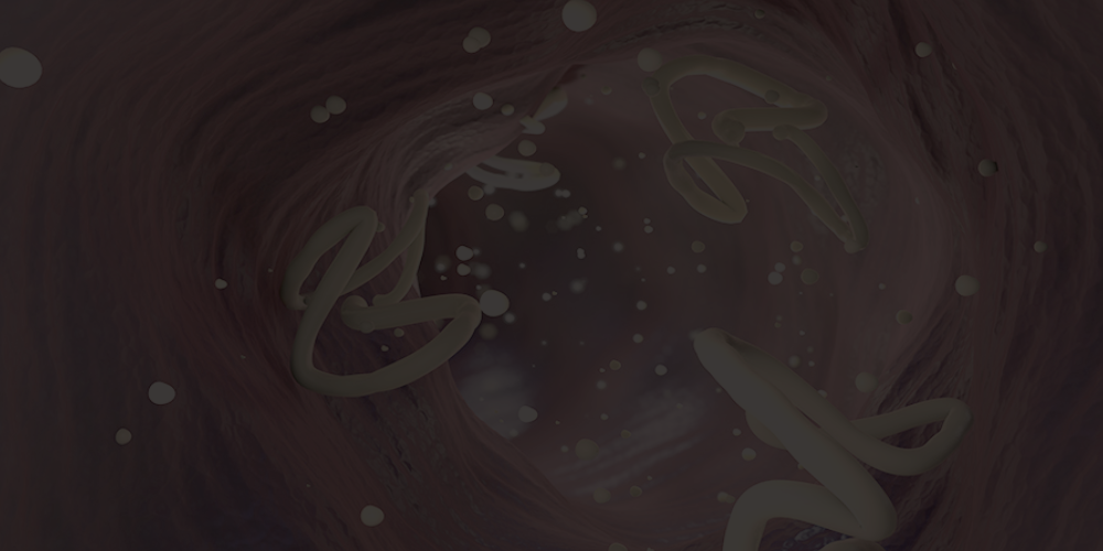 Easey Series Parasite Post Feat Image