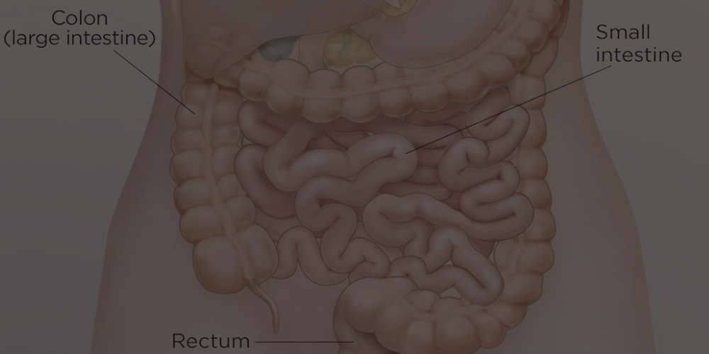 Easey Series | Colon Cleanse At Home
